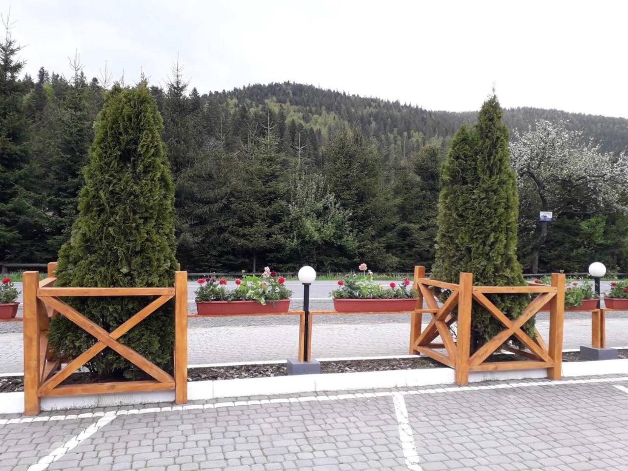 Готель Ольга Bukowel Exterior foto